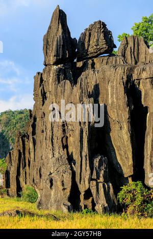 Rocce di copertura su strati molto erosi di affioramento di roccia calcarea in questa regione carsica, patrimonio dell'umanità dell'UNESCO, Rammang-Rammang, Maros, Sulawesi meridionale, Indonesia Foto Stock