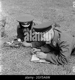 Zwei Rekruten der Luftwaffe der Wehrmacht mit einer Brieftaube in der Heeres-Brieftauben-Anstalt, Berlin Spandau 1930er Jahre. Due reclute della Luftwaffe tedesca con un carrier pigeon, Berlin Spandau 1930s. Foto Stock