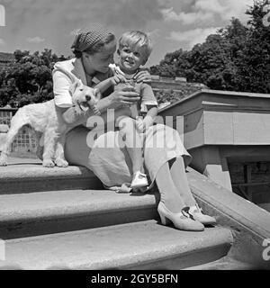 Eine junge Frau und ein kleiner Junge mit seinem Foxterrier auf der Treppe von Schlo Sanssouci in Potsdam bei Berlin, Deutschland 1930 Jahre. Una giovane donna, un ragazzino e il suo cane da compagnia sul perrone del castello di Sanssouce a Potsdam, vicino a Berlino, in Germania, anni trenta. Foto Stock