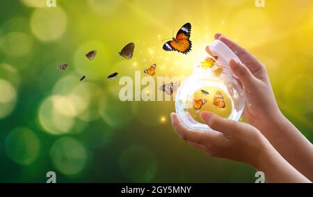 La ragazza si libera la farfalla dal vaso del frullatore, golden blue momento concetto di libertà Foto Stock