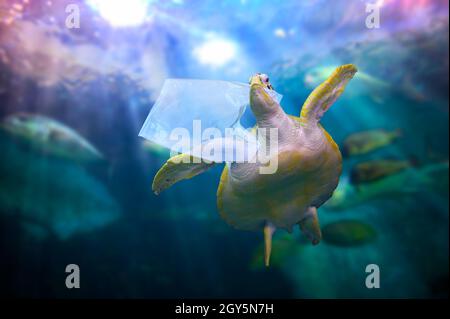 Oceano di plastica tartaruga mangia i sacchetti di plastica sotto il mare blu. La conservazione ambientale concetti e non gettare rifiuti in mare Foto Stock