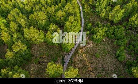 Vista aerea del sentiero escursionistico sulle passerelle attraverso il Todtenbruch Moor nella regione di Raffelslbrand nella regione di Eifel. Foto Stock