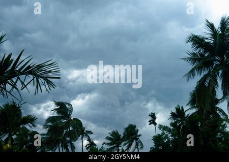 Spesso nero scuro nuvole tempesta pesante coperto estate tramonto cielo orizzonte. Vento velocità Gale soffia sopra la palma di cocco sfocata prima dei norvegesi Kalbais Foto Stock