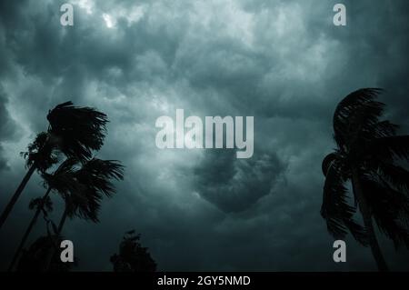 Spesso nero scuro nuvole tempesta pesante coperto estate tramonto cielo orizzonte. Vento velocità Gale soffia sopra la palma di cocco sfocata prima dei norvegesi Kalbais Foto Stock