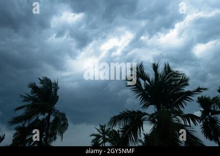 Spesso nero scuro nuvole tempesta pesante coperto estate tramonto cielo orizzonte. Vento velocità Gale soffia sopra la palma di cocco sfocata prima dei norvegesi Kalbais Foto Stock