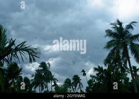 Spesso nero scuro nuvole tempesta pesante coperto estate tramonto cielo orizzonte. Vento velocità Gale soffia sopra la palma di cocco sfocata prima dei norvegesi Kalbais Foto Stock