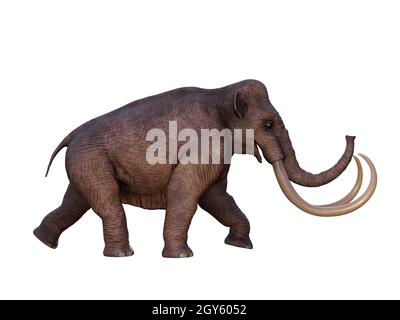 Durante l'era glaciale del Nord America la Mammoth colombiana era la megafauna del continente. Foto Stock