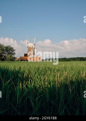 Guardando oltre i letti di canna di Cley Marshes al 18th c Cley Windmill / Towermill, North Norfolk Heritage Coast villaggio di Cley accanto al mare, Inghilterra Foto Stock