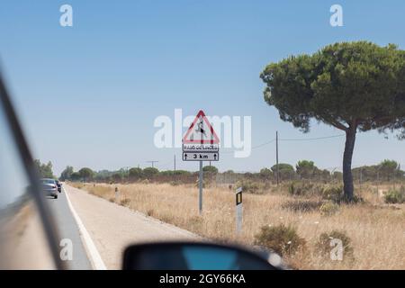 Palo in metallo con segnale stradale avvertimento traversata lince iberica. Le uccisioni stradali sono considerate una causa principale di morte nella lince iberica Foto Stock