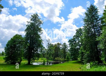 Bellissimo parco ben curato, prato rifinito. Riserva HMELITA Foto Stock