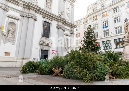 Discarica pila di molti abeti abbandonati usati alberi di natale raccolti per la rimozione o il riciclaggio dopo la fine festa di Natale nel centro storico di Vienna europeo Foto Stock