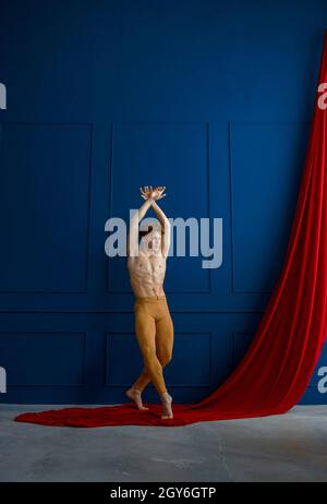 Il ballerino maschile si pone in classe danzante, pareti blu e tessuto rosso sullo sfondo. Performer con corpo muscolare, grazia ed eleganza dei movimenti Foto Stock