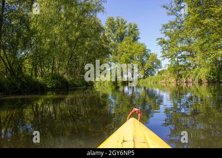 Fiume Niers, regione del basso Reno, Germania Foto Stock