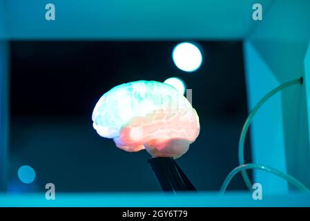 Modello di coloratissimi cervello umano su blur sullo sfondo Foto Stock