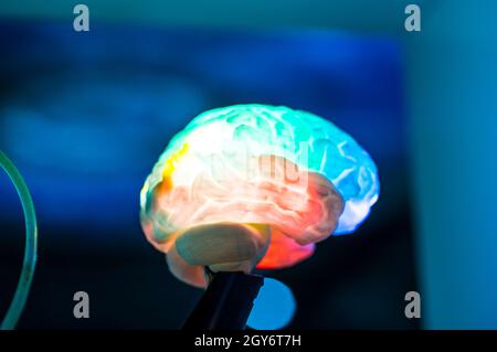 Modello di coloratissimi cervello umano su blur sullo sfondo Foto Stock