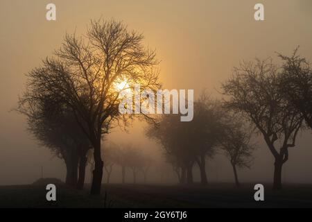 Sunrise vicino a Znojmo, Moravia del Sud, Repubblica Ceca Foto Stock