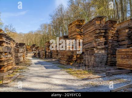 Lotti di assi di legno accatastati su un cortile di legname dentro ambiente soleggiato Foto Stock