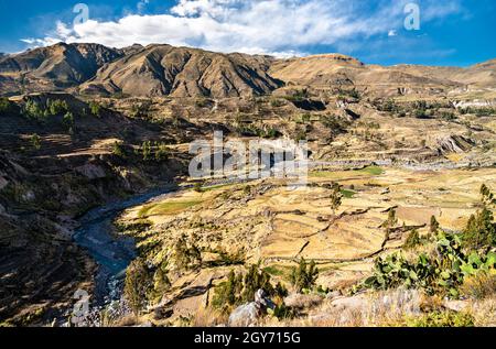 Il fiume Colca con il suo canyon in Perù Foto Stock