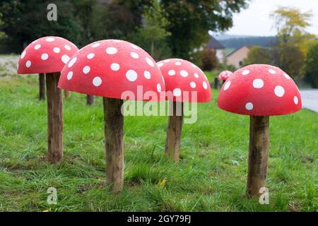 Fungo di Toadstool in legno Foto Stock