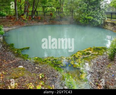 Stagno geotermico a Kuirau Park nella regione di Rotorua in Nuova Zelanda Foto Stock