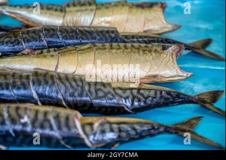 Pezzi di sgombro affumicato giacciono su un nastro trasportatore. Fabbrica di cibo di pesce. Foto Stock