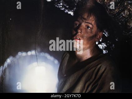 Ladyhawke anno : 1985 USA Direttore : Richard Donner Matthew Broderick Foto Stock