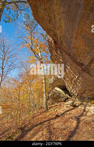 Spettacolare sporgenza nella tranquilla foresta nella zona ricreativa di Bell Smith Springs in Illinois Foto Stock