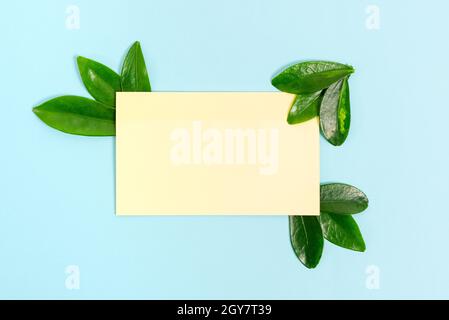 Tema natura Presentazione idee e disegni, visualizzazione di materiali rinnovabili Foto Stock