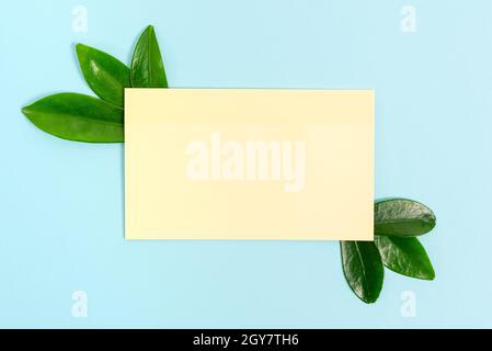 Tema natura Presentazione idee e disegni, visualizzazione di materiali rinnovabili Foto Stock