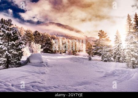 Natale neve Paesaggio con alberi e sunflare, stryn, Norvegia Foto Stock