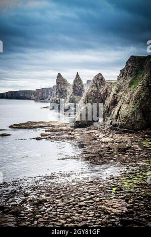 L'aspra e desolata bellezza della natura che ha formato gli Stacks fuori dalla scogliera a Duncansby Head sulla costa nord delle Highlands scozzesi Foto Stock