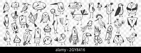 Set di scarabucchiini. Raccolta di divertenti a mano disegnati vari tipi di simpatici uccelli selvatici isolati su sfondo trasparente. Immagine della penna OWL Titmouse Foto Stock