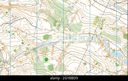 Frammento dettagliato della mappa topografica vettoriale astratta Foto Stock