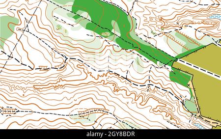 Frammento dettagliato della mappa topografica vettoriale astratta Foto Stock