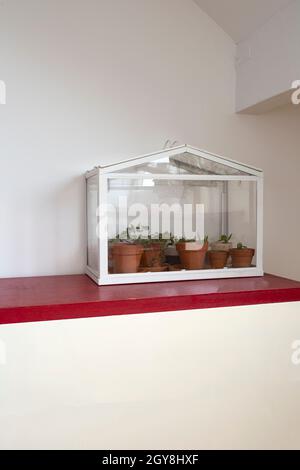 Piccola serra, terrarium per piante di casa verde di self ecosistema, decorazione moderna, crescita bontanica all'interno con parete bianca di spazio di copia Foto Stock