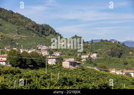 Pittoresche colline di vigneti del Prosecco spumante regione in Guietta e Guia. L'Italia. Foto Stock