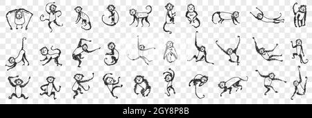 Scimmie che godono di vita Doodle set. Collezione di scimmie disegnate a mano animali primate che giocano appeso su rami e alberi mangiare dormire sensazione di felicità Foto Stock