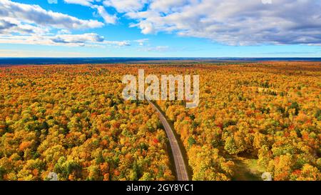Golden Forest in autunno con una strada vuota che passa attraverso di esso Foto Stock