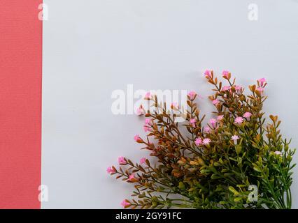 Composizione di fiori. Banchina di fiori secchi su sfondo di carta pastello. Disposizione piatta, vista dall'alto, spazio di copia. Foto Stock