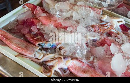 Polpi di calamari e altri piatti di pesce che disgustano la cucina thailandese al mercato Bangrak a Koh Samui in Thailandia. Foto Stock