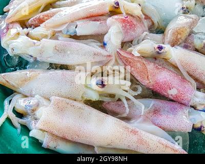 Polpi di calamari e altri piatti di pesce che disgustano la cucina thailandese al mercato Bangrak a Koh Samui in Thailandia. Foto Stock