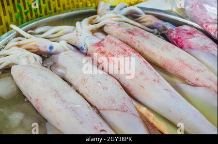 Polpi di calamari e altri piatti di pesce che disgustano la cucina thailandese al mercato Bangrak a Koh Samui in Thailandia. Foto Stock