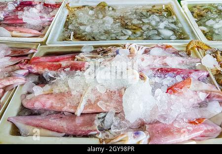 Polpi di calamari e altri piatti di pesce che disgustano la cucina thailandese al mercato Bangrak a Koh Samui in Thailandia. Foto Stock