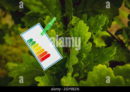 Concetto di efficienza energetica con tabella di valutazione dell'energia fissata su un albero Foto Stock