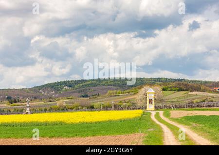 Gli dèi la tortura nei pressi di Retz, Austria Foto Stock