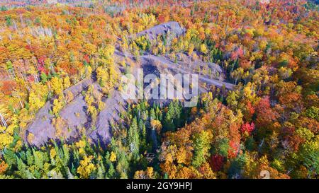 Caduta foresta con una montagna scura e giallo e arancio e rosso Aspen alberi e verdi pini Foto Stock