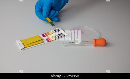 Misurazione del pH in laboratorio con carta da tornasole da parte di un chimico in cui il test è negativo e di base con colore blu Foto Stock