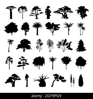 Sagome nere di alberi di diverse zone climatiche su sfondo bianco - illustrazione vettoriale Foto Stock