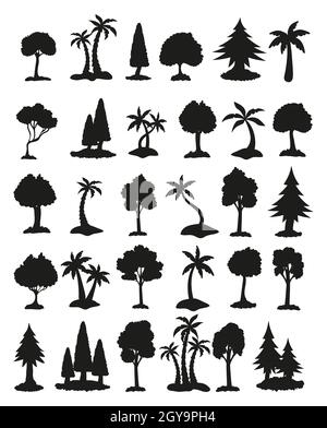 Sagome nere di alberi di diverse zone climatiche su sfondo bianco - illustrazione vettoriale Foto Stock