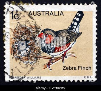 AUSTRALIA - CIRCA 1979: Un francobollo stampato in Australia mostra Zebra Finch, Taeniopygia Guttata, Bird, circa 1979 Foto Stock